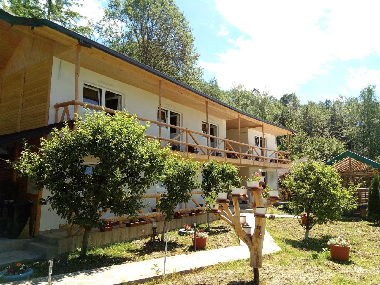 Pensiunea Serbeca Brosteni Exterior foto