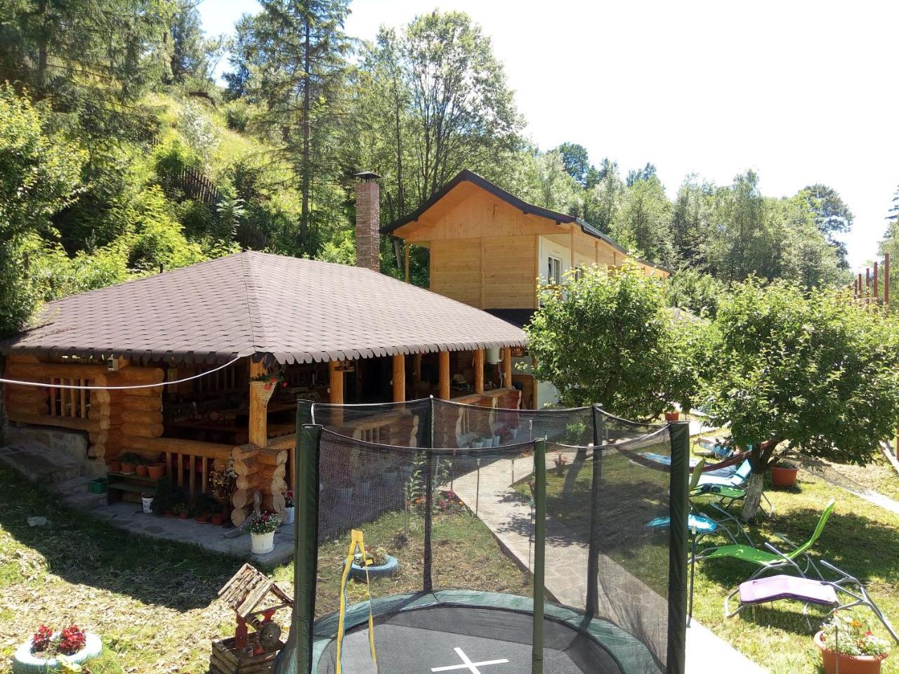 Pensiunea Serbeca Brosteni Exterior foto