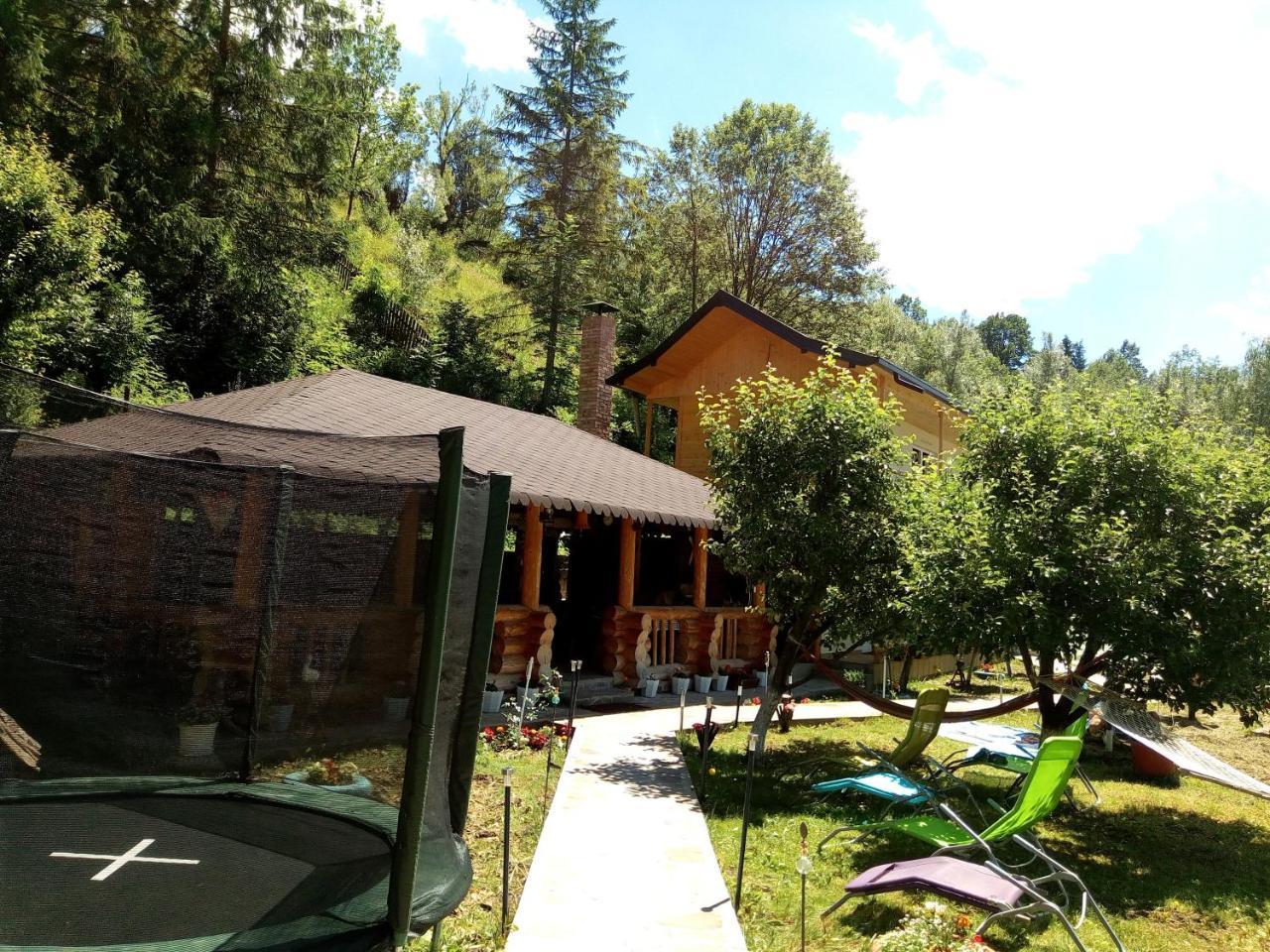 Pensiunea Serbeca Brosteni Exterior foto