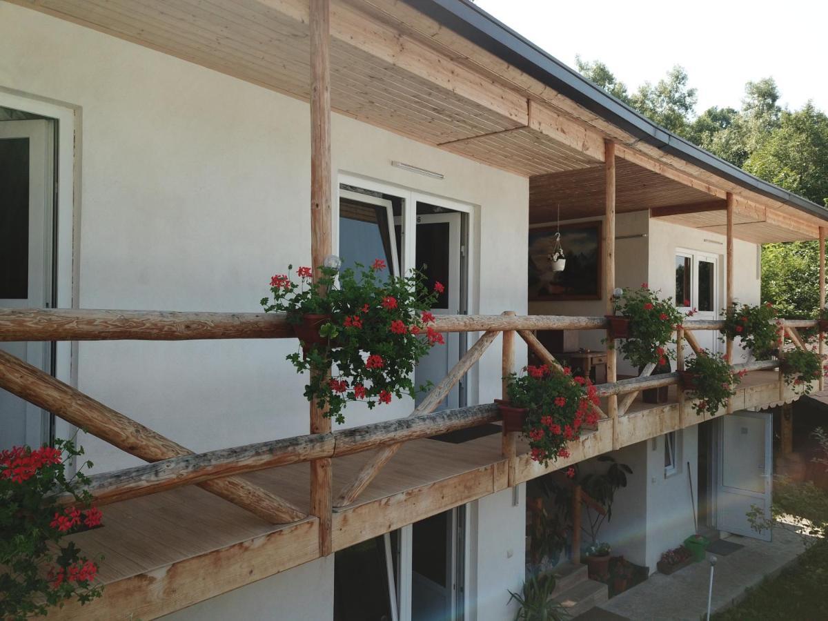 Pensiunea Serbeca Brosteni Exterior foto