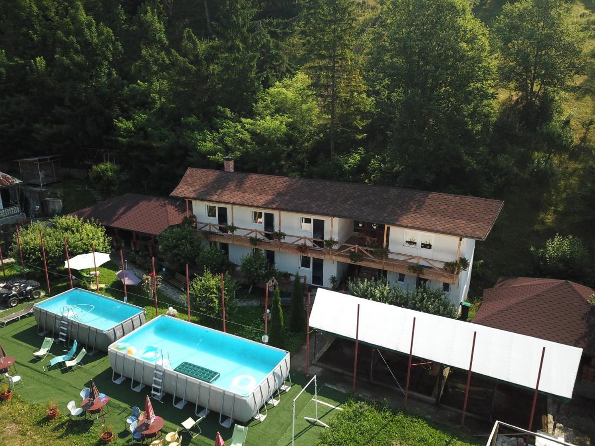 Pensiunea Serbeca Brosteni Exterior foto